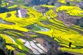不負(fù)好春光！寧強(qiáng)這4條春季旅游線路快收藏！縮略圖