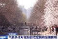 氣象條件對(duì)花粉濃度有哪些影響？花粉季要注意什么？專家解答縮略圖