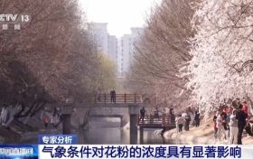氣象條件對(duì)花粉濃度有哪些影響？花粉季要注意什么？專家解答縮略圖