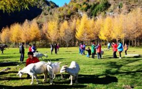 留壩入選“五一”最美鄉(xiāng)村旅游目的地！縮略圖
