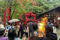 抓住假期的尾巴，來漢中這里不負(fù)千里迢迢的旅程！縮略圖