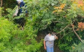行人為走捷徑欲橫穿高速，漢中高速交警及時(shí)勸離縮略圖