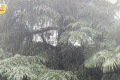 未來(lái)三天，陜西有強(qiáng)降水天氣過(guò)程，局地短時(shí)暴雨，具體預(yù)報(bào)→縮略圖