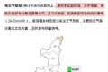 強(qiáng)降雨天氣持續(xù)！局地大到暴雨！這些一定要做到→縮略圖