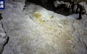國內(nèi)罕見！陜西漢中發(fā)現(xiàn)完整度較高的大熊貓化石縮略圖