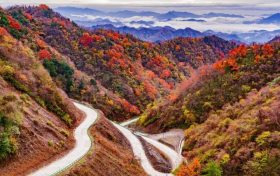 秋日濃度播報(bào)！漢中絕美紅葉打卡點(diǎn)位看這里→縮略圖