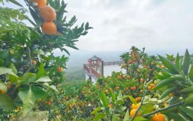 爭做文明游客，不負城固美景！縮略圖