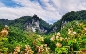 漢中黎坪景區(qū)冬日暫別，相約2025年春之盛景縮略圖