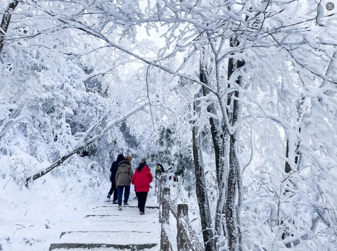 2024漢江源冰雪旅游季抖音大賽等你來挑戰(zhàn)！