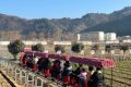 開門紅！全縣首輛！鱘游佛坪“熊貓?zhí)枴毙』疖囌竭\行→縮略圖
