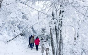 384天！蛇年，為啥“閏六月”？縮略圖