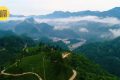 鎮(zhèn)巴楮溪源：山川之美創(chuàng)4A，茶旅融合新畫卷縮略圖