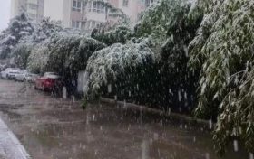 明顯降溫！陜西新一波雨雪即將到來縮略圖