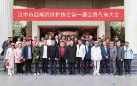 漢中市紅嘴鷗保護(hù)協(xié)會(huì)成立縮略圖