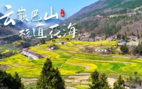 寧強(qiáng)巴山梯田油菜花，藏著漢中最立體的春天！縮略圖