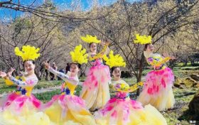 3月22日，王家灣村，茱萸花海踏春游活動來啦！縮略圖