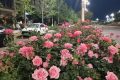 陜西發(fā)布消費提示！警惕“零團費”等不合理低價產(chǎn)品縮略圖
