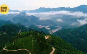 吹風、降溫、降水齊上陣 出行注意安全縮略圖