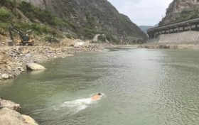 縱身激流顯擔(dān)當(dāng)！略陽公安民警以身為舟托起生命希望縮略圖