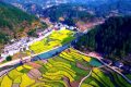 鎮(zhèn)巴簡池鎮(zhèn)李塘村：春日河畔花海，宛如水墨仙境縮略圖