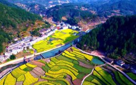 鎮(zhèn)巴簡池鎮(zhèn)李塘村：春日河畔花海，宛如水墨仙境縮略圖