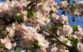 天漢濕地公園：漢中名副其實(shí)的“后花園”縮略圖