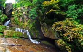 漢臺區(qū)關(guān)于加強(qiáng)鳥類等野生動(dòng)植物保護(hù)的通告縮略圖