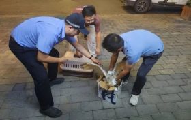 漢臺警民攜手救助一只國家一級保護(hù)動物縮略圖