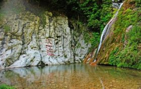 最高獎(jiǎng)勵(lì)1500元！在漢臺，舉報(bào)破壞野生動(dòng)植物違法行為有獎(jiǎng)縮略圖